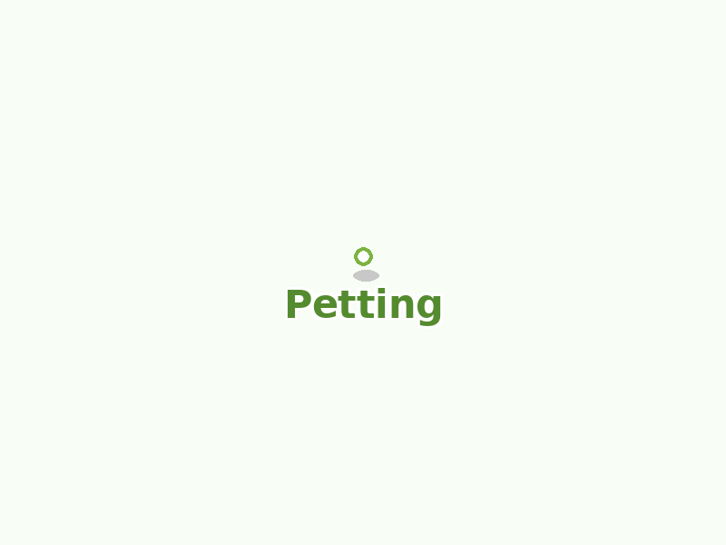 Karte von Petting